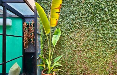 LEBAK BULUS – HOUSE – FOR SALE