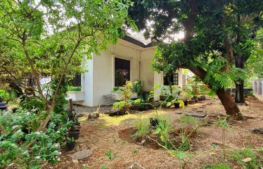 MENTENG – HOUSE – FOR SALE