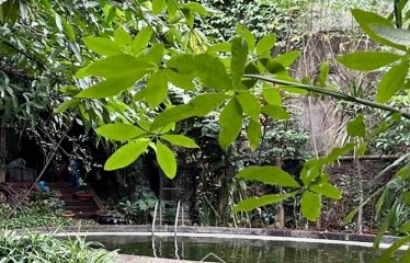PERMATA HIJAU – HOUSE – FOR SALE