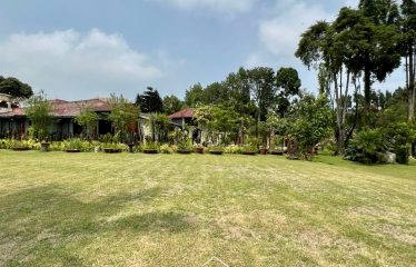 BOGOR – COMMERCIAL – FOR SALE