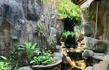 CILANDAK – HOUSE – FOR SALE