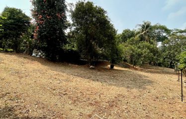 JAGAKARSA – HOUSE – FOR SALE