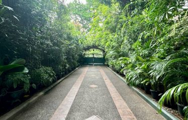 MENTENG – HOUSE – FOR SALE