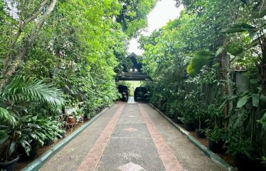 MENTENG – HOUSE – FOR SALE
