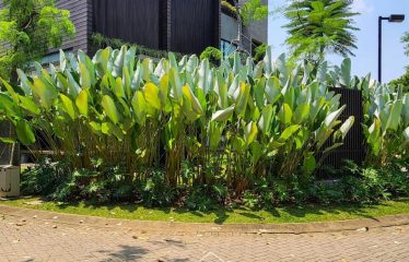 BINTARO TANGSEL – [FOR SALE]: